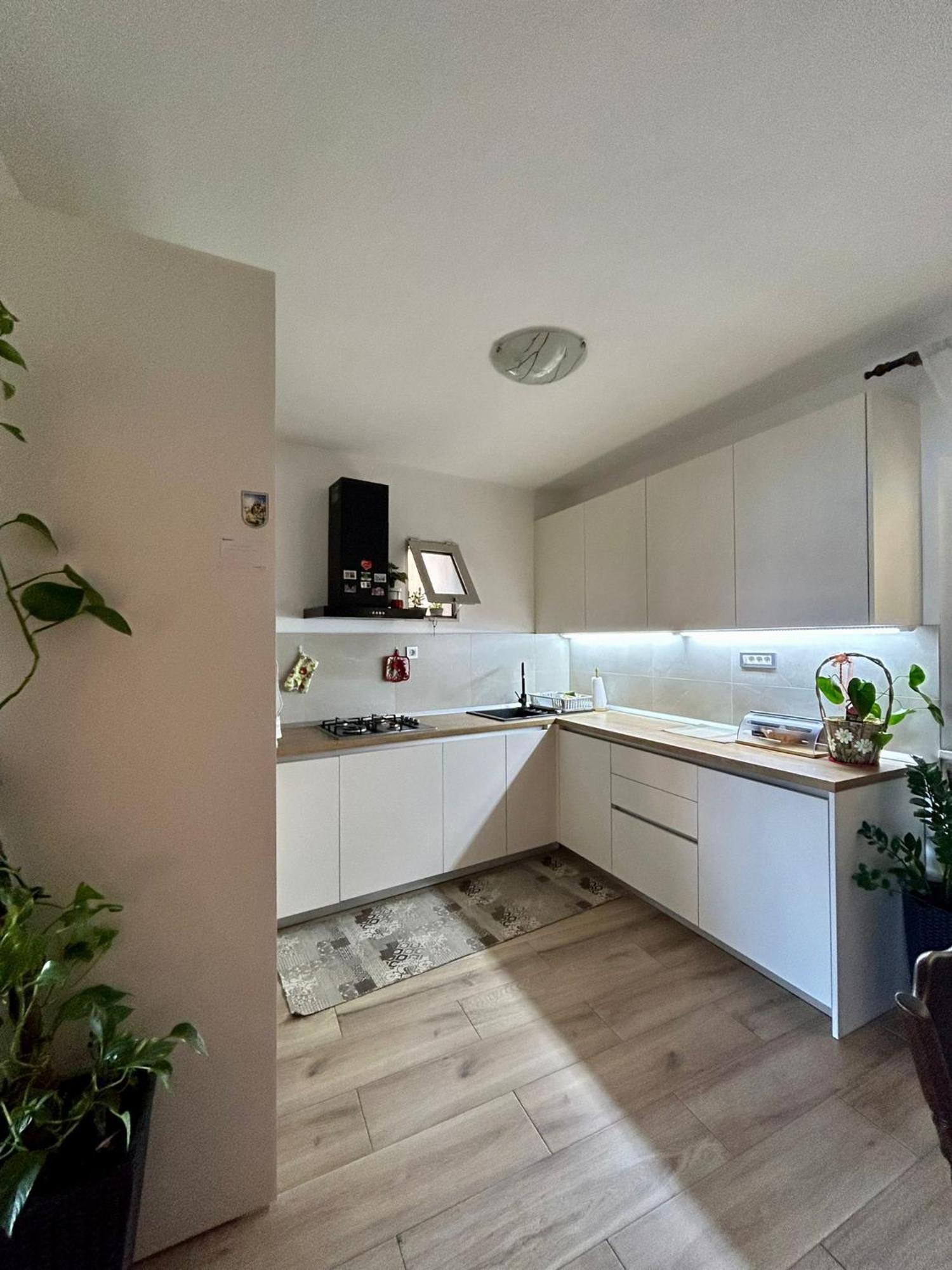 Apartments Korta Račišće Dış mekan fotoğraf