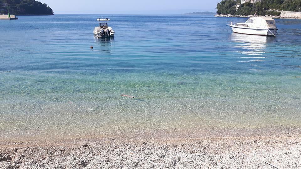 Apartments Korta Račišće Dış mekan fotoğraf
