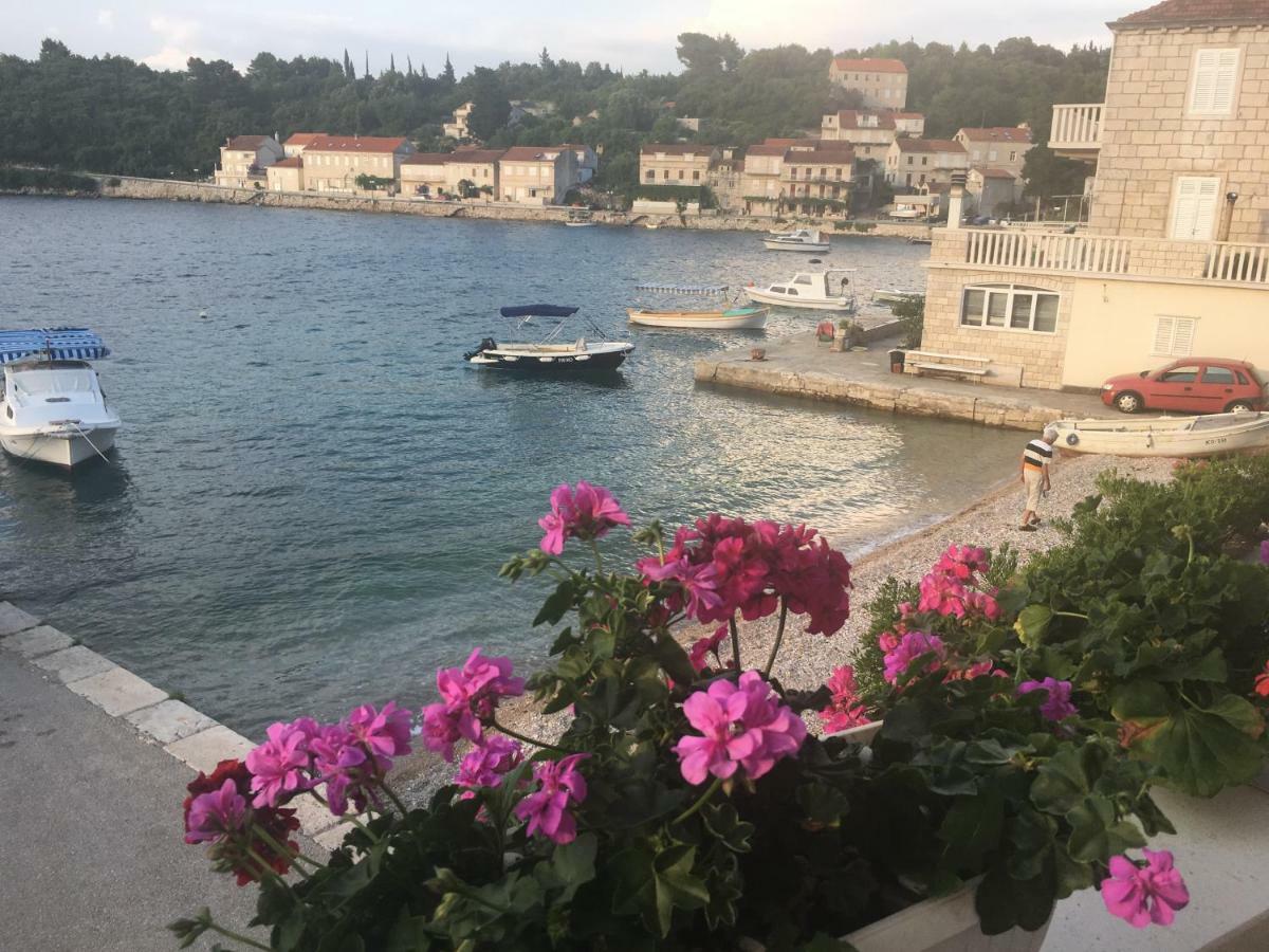 Apartments Korta Račišće Dış mekan fotoğraf